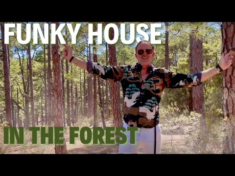 Funky house in the forest at ten thousand feet